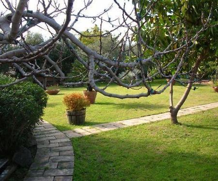 Villa Chiarenza Maison D'Hotes 지아르디니낙소스 외부 사진