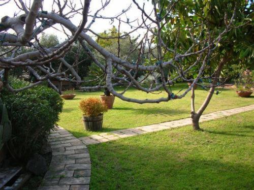 Villa Chiarenza Maison D'Hotes 지아르디니낙소스 외부 사진
